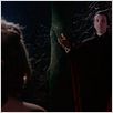 Das Blut von Dracula : photo