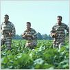 O Brother, Where Art Thou? : photo