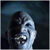 Lost Boys 2: The Tribe : photo