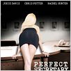 Perfect Secretary : poster