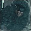 Whiteout : photo