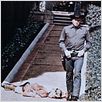 Westworld : photo