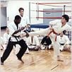 Karate Tiger : photo