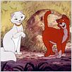 Aristocats : photo