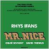Mr. Nice : poster