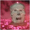 Masters of the Universe : photo