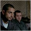 Shifty : photo