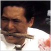 The Killer : photo