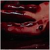 Blood Trails : photo