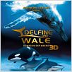 Delfine und Wale 3D : poster