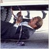 Die Katze : photo