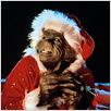 Der Grinch : photo