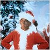 Der Grinch : photo