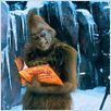 Der Grinch : photo
