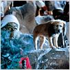 Der Grinch : photo