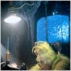 Der Grinch : photo