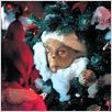 Der Grinch : photo