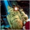 Der Grinch : photo