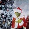 Der Grinch : photo