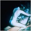 Piranha II - Fliegende Killer : photo