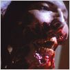 Piranha II - Fliegende Killer : photo
