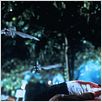 Piranha II - Fliegende Killer : photo