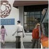 Star Trek - Zurück in die Gegenwart : photo