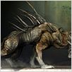 Predators : photo