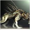 Predators : photo