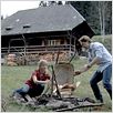Black Forest : photo