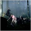 Black Forest : photo