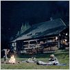 Black Forest : photo