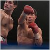 The Fighter : photo David O. Russell, Mark Wahlberg