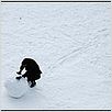 Vineta : photo