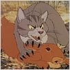 Watership Down : photo