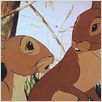 Watership Down : photo
