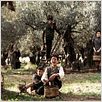 Baaria - Eine italienische Familiengeschichte : photo