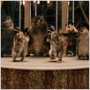 Reine Fellsache : photo Roger Kumble