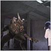 Garuda : photo