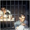 Lebenslang in Alcatraz : photo