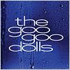 The Goo Goo Dolls - Live In Buffalo, July 4th 2004 : photo