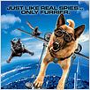 Cats & Dogs - Die Rache der Kitty Kahlohr : poster