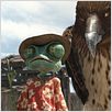 Rango : photo Gore Verbinski