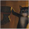 Der gestiefelte Kater : photo Chris Miller, Chris Miller (II)