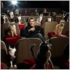 Der gestiefelte Kater : photo Antonio Banderas, Chris Miller, Chris Miller (II)