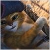 Der gestiefelte Kater : photo Chris Miller, Chris Miller (II)