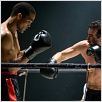 Max Schmeling - Eine deutsche Legende : photo Henry Maske, Uwe Boll, Yoan Pablo Hernández