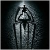 The Amazing Spider-Man : poster