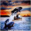 Free Willy 2 - Freiheit in Gefahr : poster