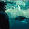 Umständlich verliebt : photo Jason Bateman, Josh Gordon, Will Speck